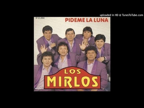 Los Mirlos - Piensa en mí