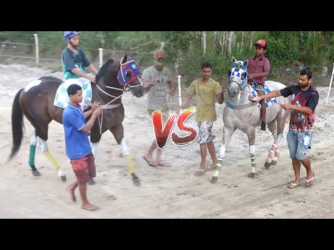 MEGA DESAFIO - MACACO vs R7 - Apresentação dos animais