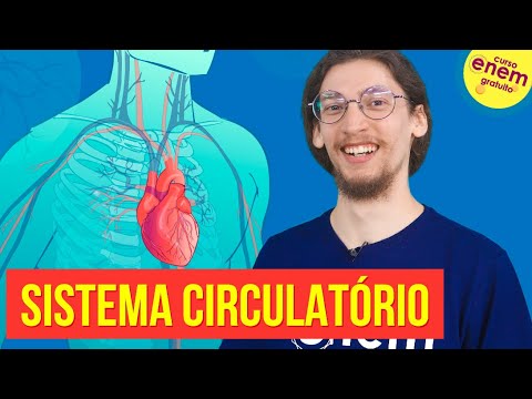 Circulatory or Cardiovascular System: Anatomy and Functions | Biology Summary for Enem
