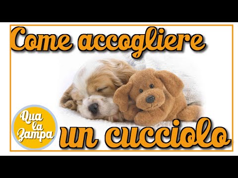 La terapia di massaggio contro la malattia degenerativa del disco Che tratta le articolazioni della spalla