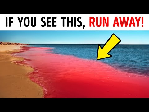 The 7 Most Dangerous Natural Phenomena in the Ocean