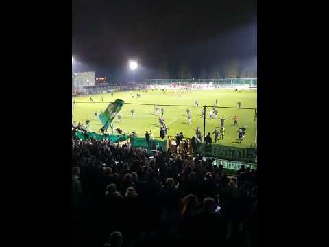 Chemie Leipzig Fans Platzsturm nach Sieg gegen Zwickau Sachsenpokal