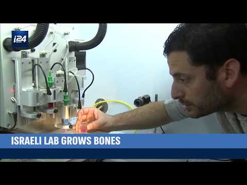 The Israeli lab that grows bones for transplant