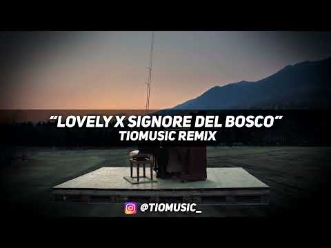 Billie Eilish, Massimo Pericolo - Lovely x Signore del Bosco (TioMusic Remix)