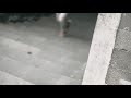 Piero Jogger Premium Evo