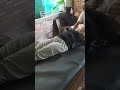 Pijat Mantap Tante Semok