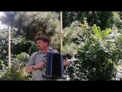 "V Lesu Rodilas Elochka!"(cover) В Лесу родилась Ёлочка! Сергей Кузнецов:19.08.20(20:42)