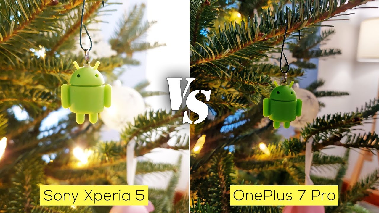 Sony Xperia 5 versus OnePlus 7 Pro camera comparison