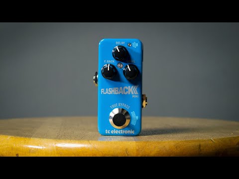 Flashback 2 Mini Delay: Small but Powerful!