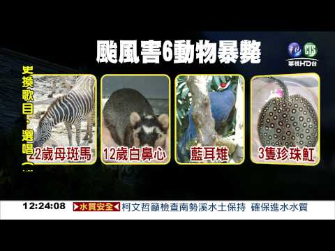 木柵動物園損失慘 6動物死亡