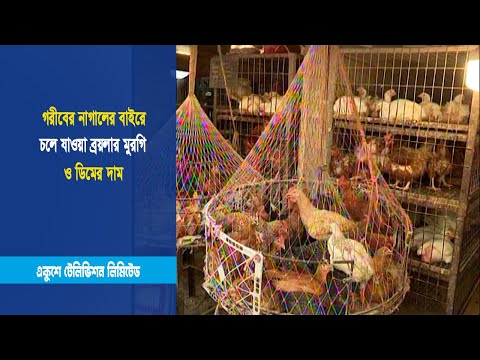 গরীবের নাগালের বাইরে চলে যাওয়া ব্রয়লার মুরগি ও ডিমের দাম | ETV News