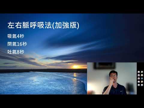 左右脈