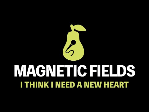 The Magnetic Fields - I Think I Need a New Heart (Karaoke)