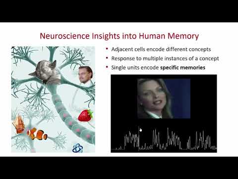 SSCS VLSIedu2019 - "Introduction to Neural Interfaces" - Presented by Dejan Markovic