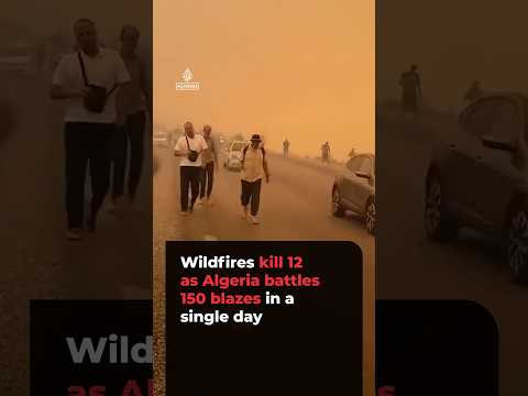 Twelve dead as over 150 wildfires rage across northeastern Algeria