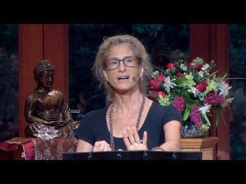 Tara Talks - RAIN: Awakening from the Trance of Unreal Other