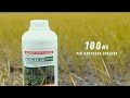 Frontier Herbicide 200 OD| Paano ang Tamang Dosage at Tamang Timing | Leads Agri