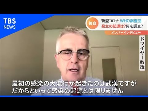 コロナウイルスの起源:研究者らが病原体の経路を説明
