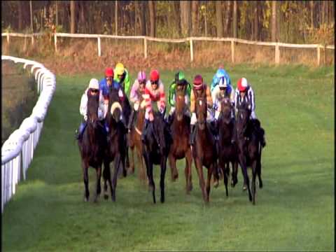 Galopprennbahn Dresden 26.10.2013 - 7.Rennen