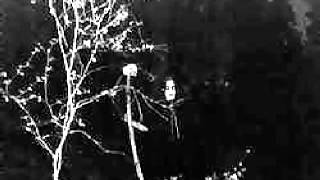 Darkthrone - To Walk the Infernal Fields