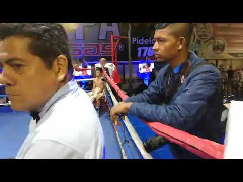 Velada de boxeo guatemal pinolero boxing