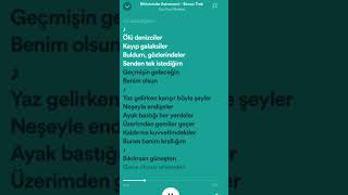 Bikinisinde astronomi lyrics #fypシ #lyricvideo #music #sonfecibisiklet #keşfetbeniöneçıkar #keşfet