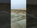 Surfer Gets Swept out to Sea by River Rapids #shorts #shorts30