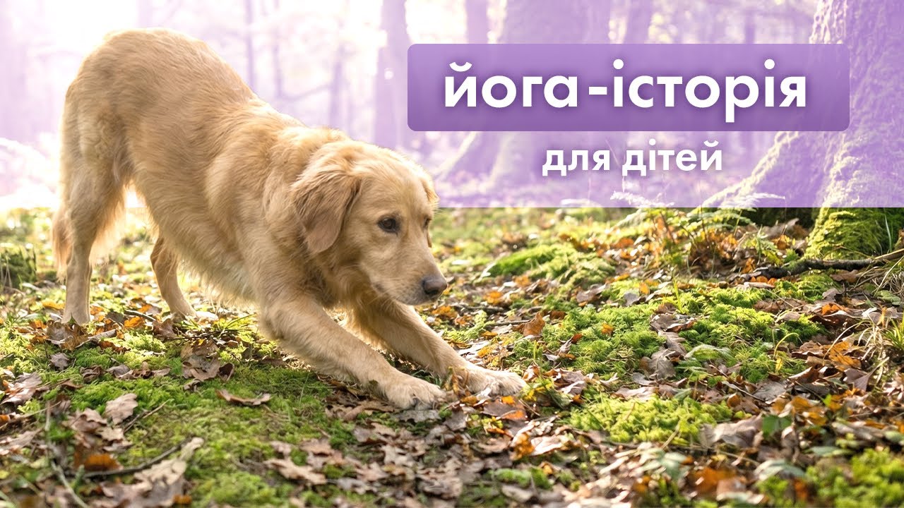 Yoga story for children