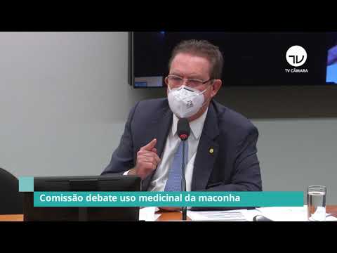 Comissão debate o uso medicinal da maconha - 11/05/21