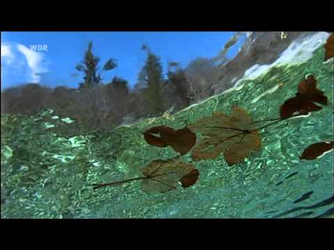 Conrad Winged & Ascania - Kashmir (Simon O'Shine Remix)