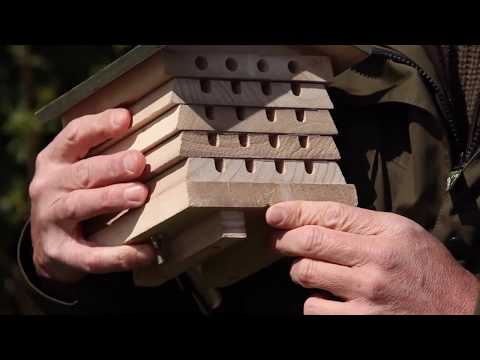 How to Guide with Simon King: Solitary Bee Hive