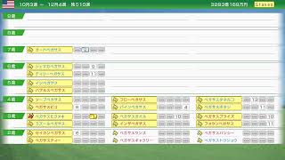 ウイニングポスト2024 馬主生活