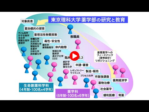 東京理科大学薬学部の研究領域