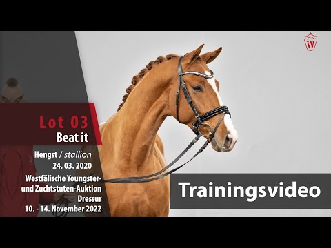 Online-Auktion Trainingsvideo Lot 03 Beat it Hengst v. Benicio - Quaterhall
