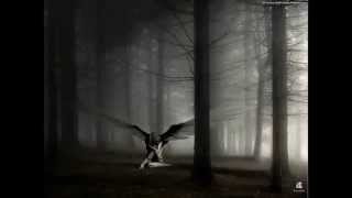 chapter VIII - a sombre dance (Estatic Fear) - kara