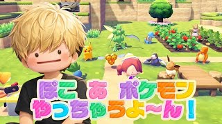 【ぽこ  あ ポケモン】今話題のぽこ あ ポケモンを買ったのではじめて遊んでくぜ！