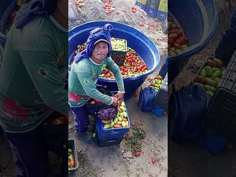 pessoas de São Joaquim do Monte Pernambuco