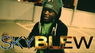 SkyBlew - Slice of Life