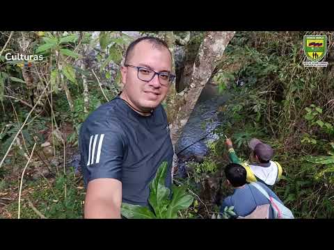 Raíces que Pintan Memoria | Recorrido patrimonial y memoria comunitaria en la vereda Merlo