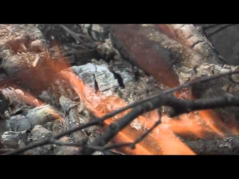 TREZZ  "Vekk fra rennestein"