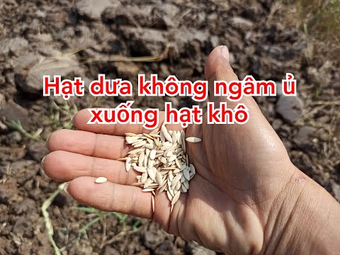 , title : 'Nông Dân Ra Rẫy 04 : Gieo Hạt Dưa Leo'