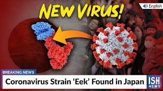Coronavirus Strain ‘Eek’ Found in Japan
