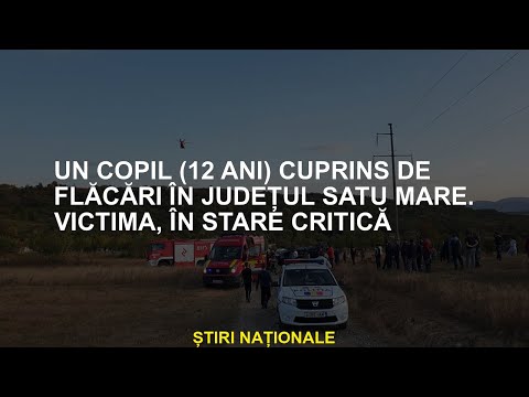 Un copil (12 ani) conținut de llamas în județul Satu Mare. Victima, în stare critică