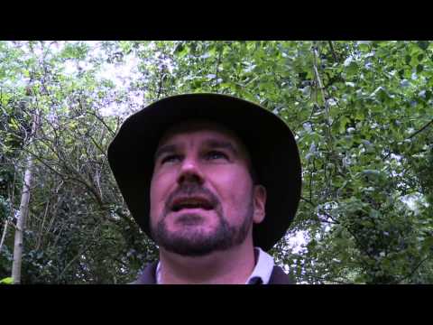 Tristan Gooley Natural Navigator Natural Navigation