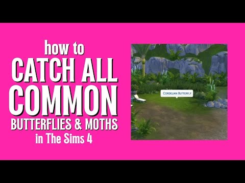Where to Find Every COMMON Butterfly & Moth in The Sims 4: Adventure Awaits 🦋