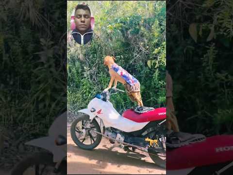 Firulais, the one who can never be missed 💖🐶😅 #firulais #puppies #dogs #dog #funnypuppies #memes