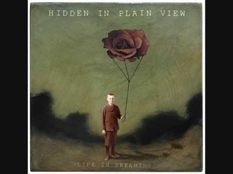 Hidden in plain view - Twenty Below