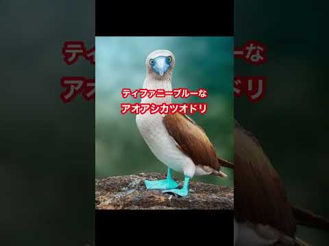 IUCN分類における絶滅の危険性を示す図。