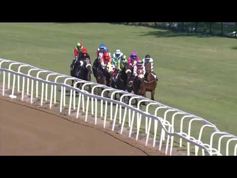 2021.05.02  World Sports Betting Fillies Guineas (RSA) - Captain's Ransom