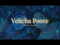 Velicha Poove Slowed Reverb